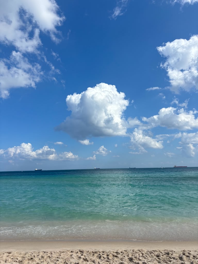 The ocean